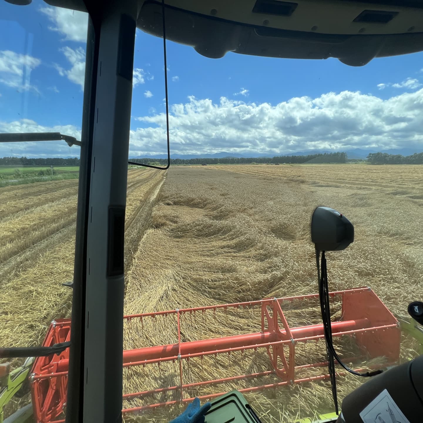 麦のにぎむすび