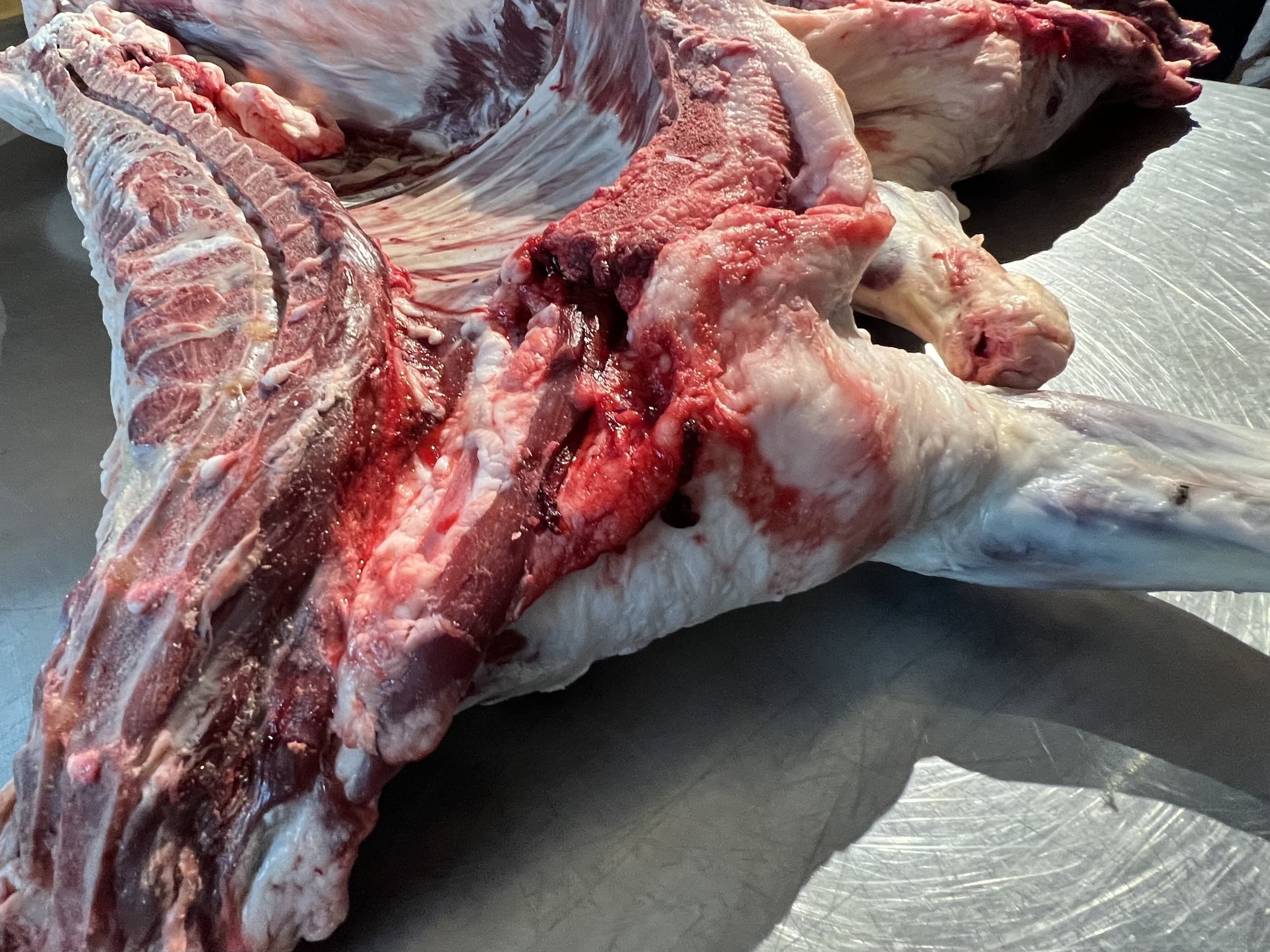 にぎむすびの羊