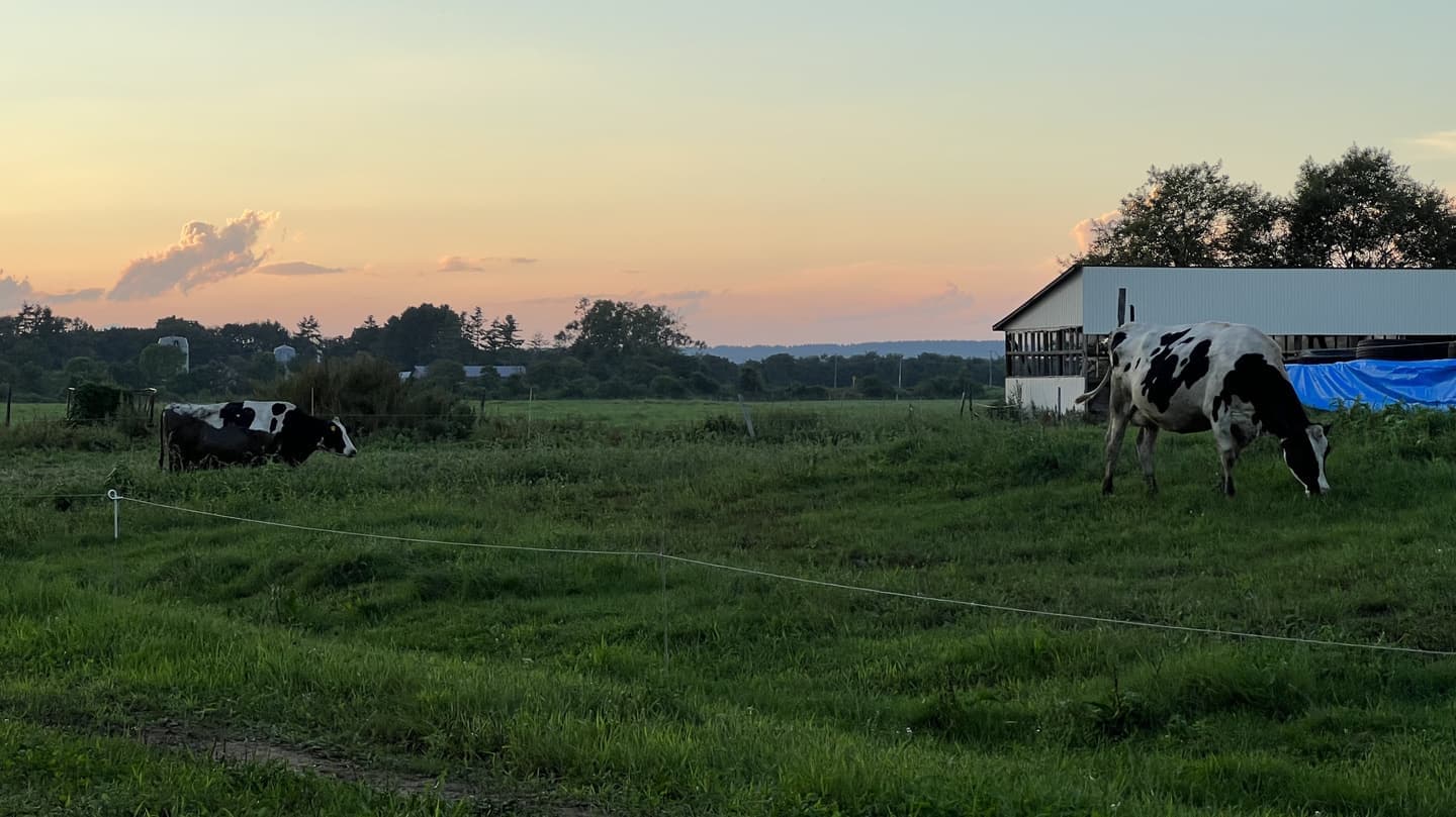 特別な鹿肉ジャーキー
