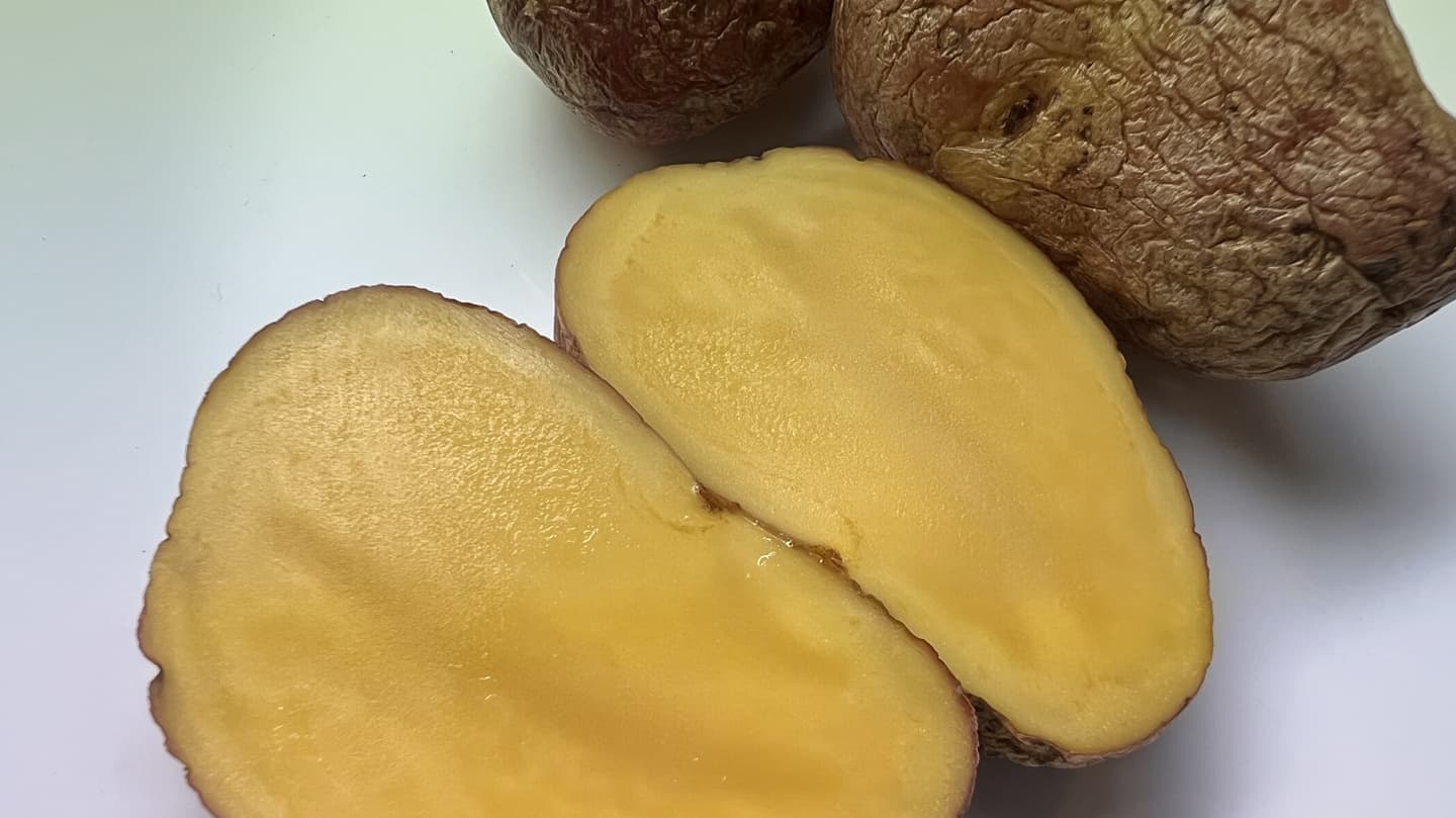 特別な鹿肉ジャーキー